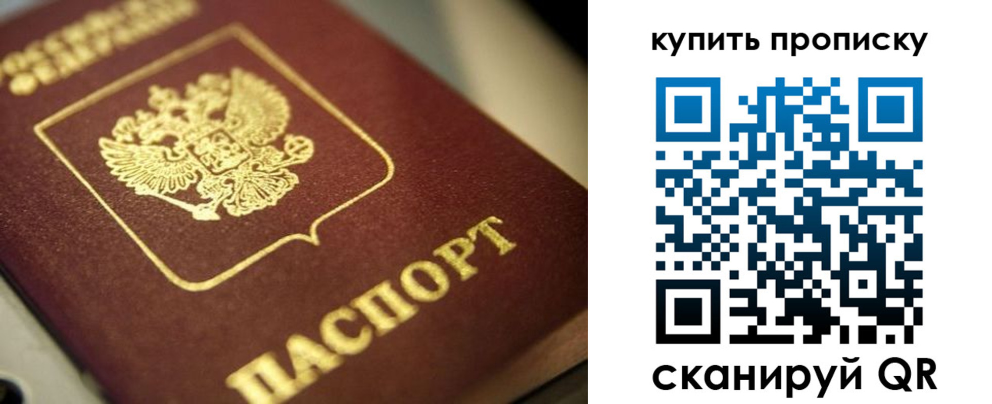 прописка поиск в Карачеве